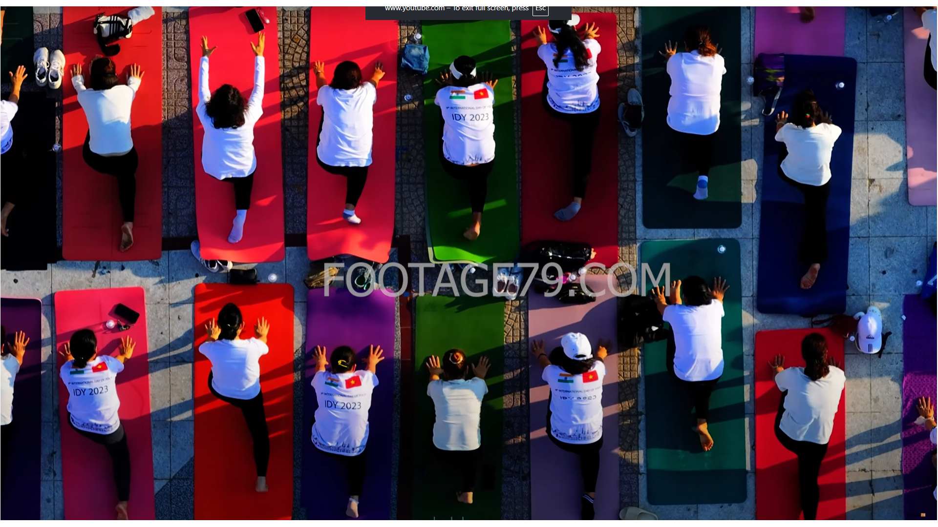 Ngày Hội Yoga Quốc Tế 12